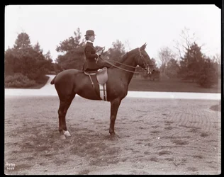 Portrait of Mrs. Beach Posed on a Horse on the Bridle Path in Central Park, 1898
